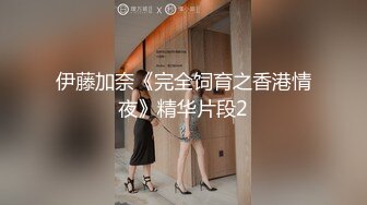 1/19最新 国产比女人还美的CD安德圣诞节CospalyVIP1196