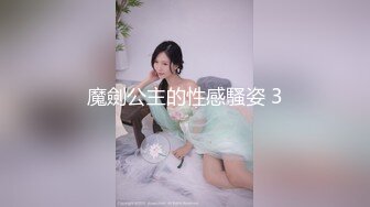 魔劍公主的性感騷姿 3