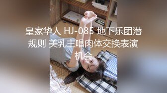 斗魚主播 過期米線線喵 之 女仆使用手冊