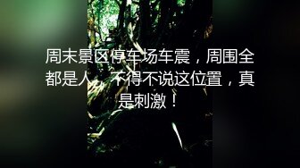 無套蹂躏人妻，露臉黑絲情趣装，多體位爆草猛插，邊草邊玩騷奶子，淫聲蕩語直接内射