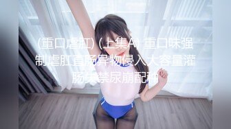 高颜值小少妇偷情