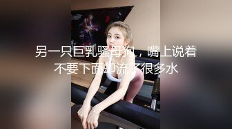 即含即插ＯＫ的绝对领域侍奉女仆