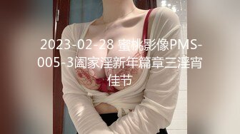  2023-02-28 蜜桃影像PMS-005-3阖家淫新年篇章三淫宵佳节