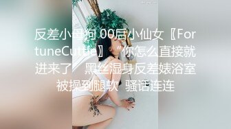 【台湾三级】淑女出招CD2