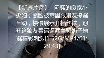 极品风骚少妇1