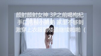 骚老婆用按摩棒高潮了