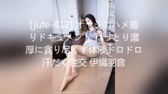 精品绝美尤物性感妖娆身姿 性感女神杨晨晨 典雅都市OL风格服饰装扮 曼妙多姿婀娜姿态娇柔欲滴