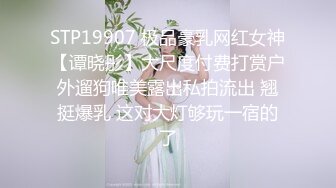 STP19907 极品豪乳网红女神【谭晓彤】大尺度付费打赏户外遛狗唯美露出私拍流出 翘挺爆乳 这对大灯够玩一宿的了