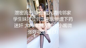 麻豆传媒 MCY-0027《空姐女友被强暴》-苏清歌