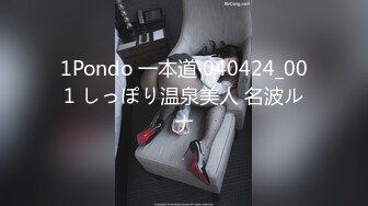 1Pondo 一本道 040424_001 しっぽり温泉美人 名波ルナ