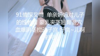 淘寶店主中葡混血美女MELY黑絲高跟後入(VIP)