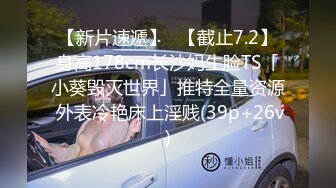 爱豆传媒ID5383偷心女盗的完美性任务