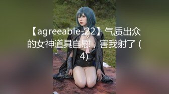 【agreeable-22】气质出众的女神道具自慰，害我射了 (4)