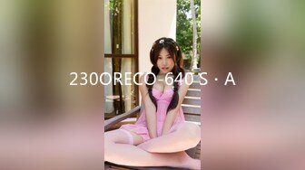 230ORECO-640 S・A