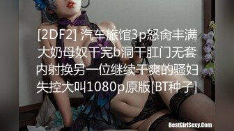 30岁大奶少妇，车震户外