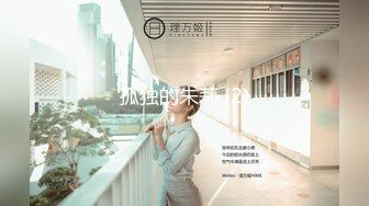 放浪传媒FX-0003傲慢女上司