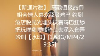 99久久精品无码一