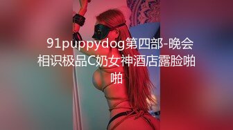   91puppydog第四部-晚会相识极品C奶女神酒店露脸啪啪